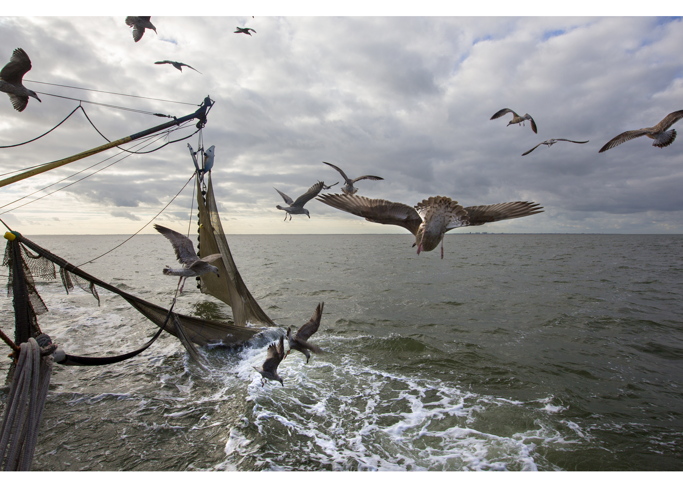 Waddenzee